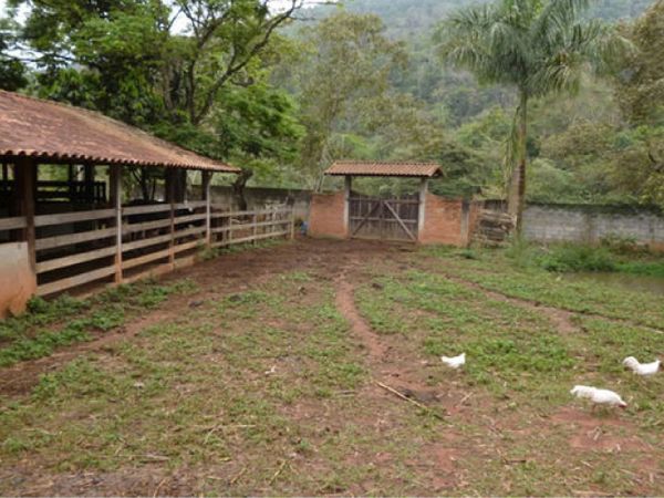 Fazenda- Juiz de Fora/MG avaliada em R$ 450 mil- Leilão lance inicial de apenas